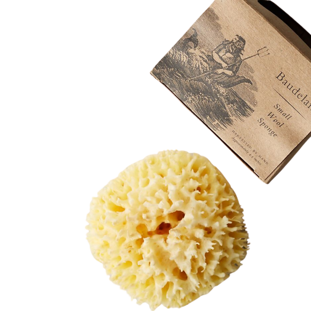 Mary Hawthorne Interiors Wool Sponge